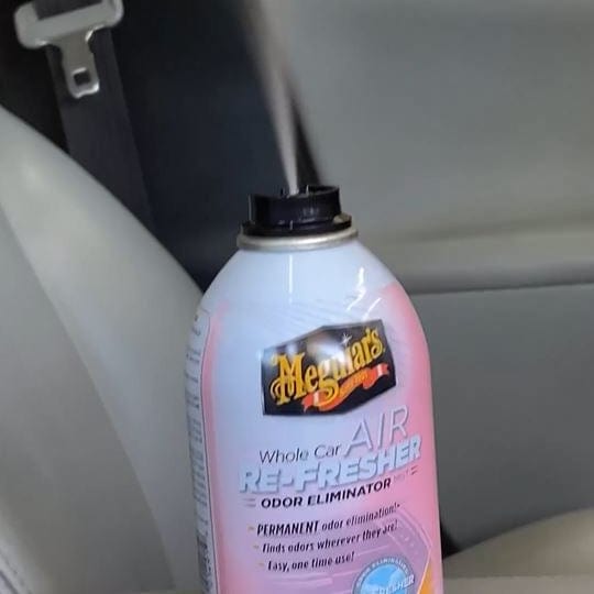 Load image into Gallery viewer, MEGUIARS Air Fresheners Whole Car Air Re-Fresher Fiji Sunset - 57g
